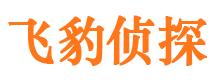 泰安出轨调查